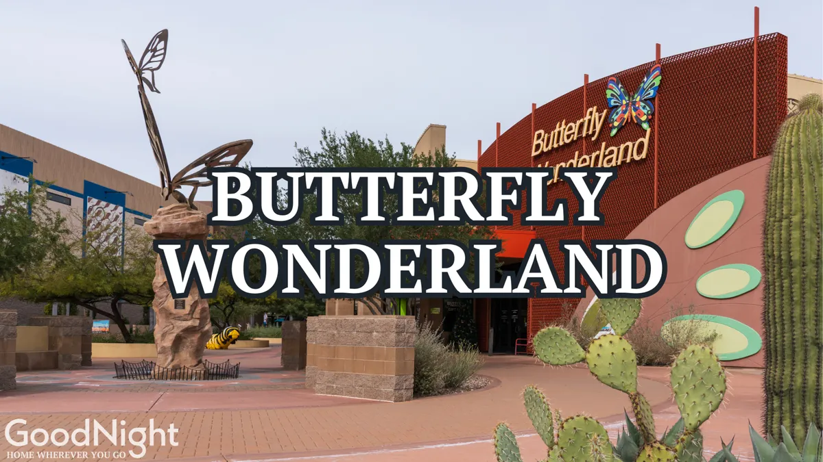 This image captures a large butterfly sculpture set among a landscaped garden, with colorful signage welcoming families. The scene is lively and whimsical, emphasizing engaging activities and the beauty of Butterfly Wonderland, one of the key nearby attractions mentioned in the section.
