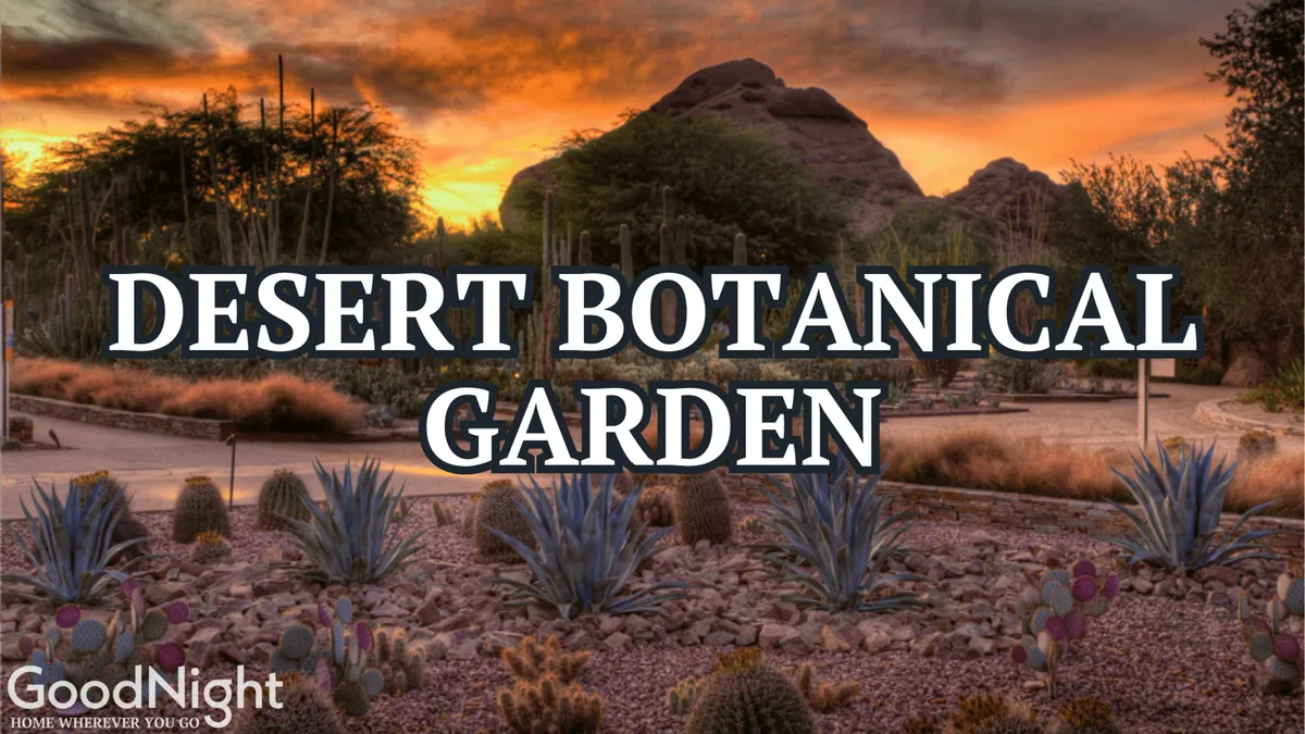 A desert landscape featuring striking rock formations, native flora, and a brilliant sunset sky. The environment highlights the natural beauty and panoramic mountain vistas that surround Fountain Hills.